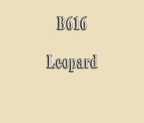 B616