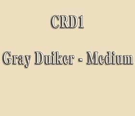 CRD1