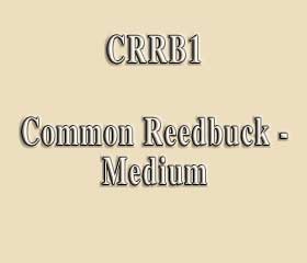 CRRB1