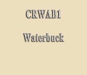 CRWAB1