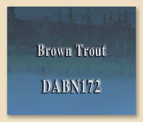DABN172