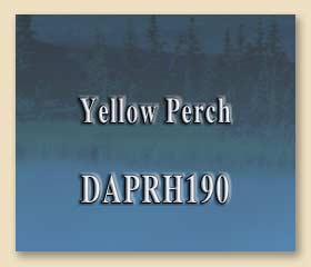 DAPRH190
