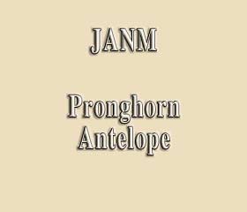 JANM