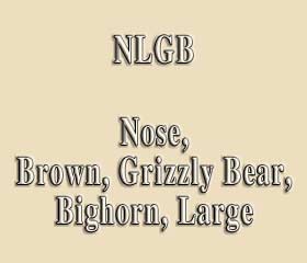 NLGB