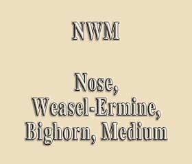 NWM