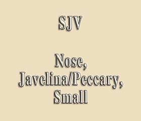 SJV